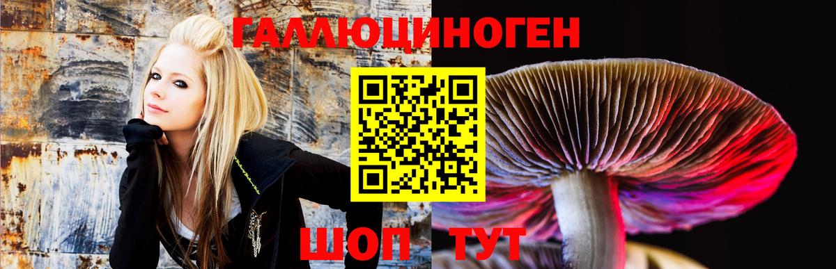 Кунгур  Галлюциногенные грибы Cubensis  Вход с VPN 